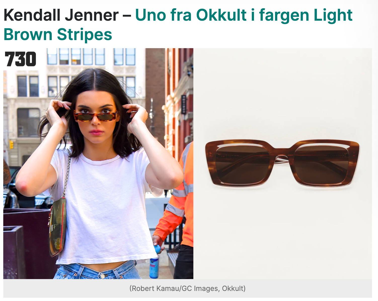 Stjel stilen Okkult Eyewear